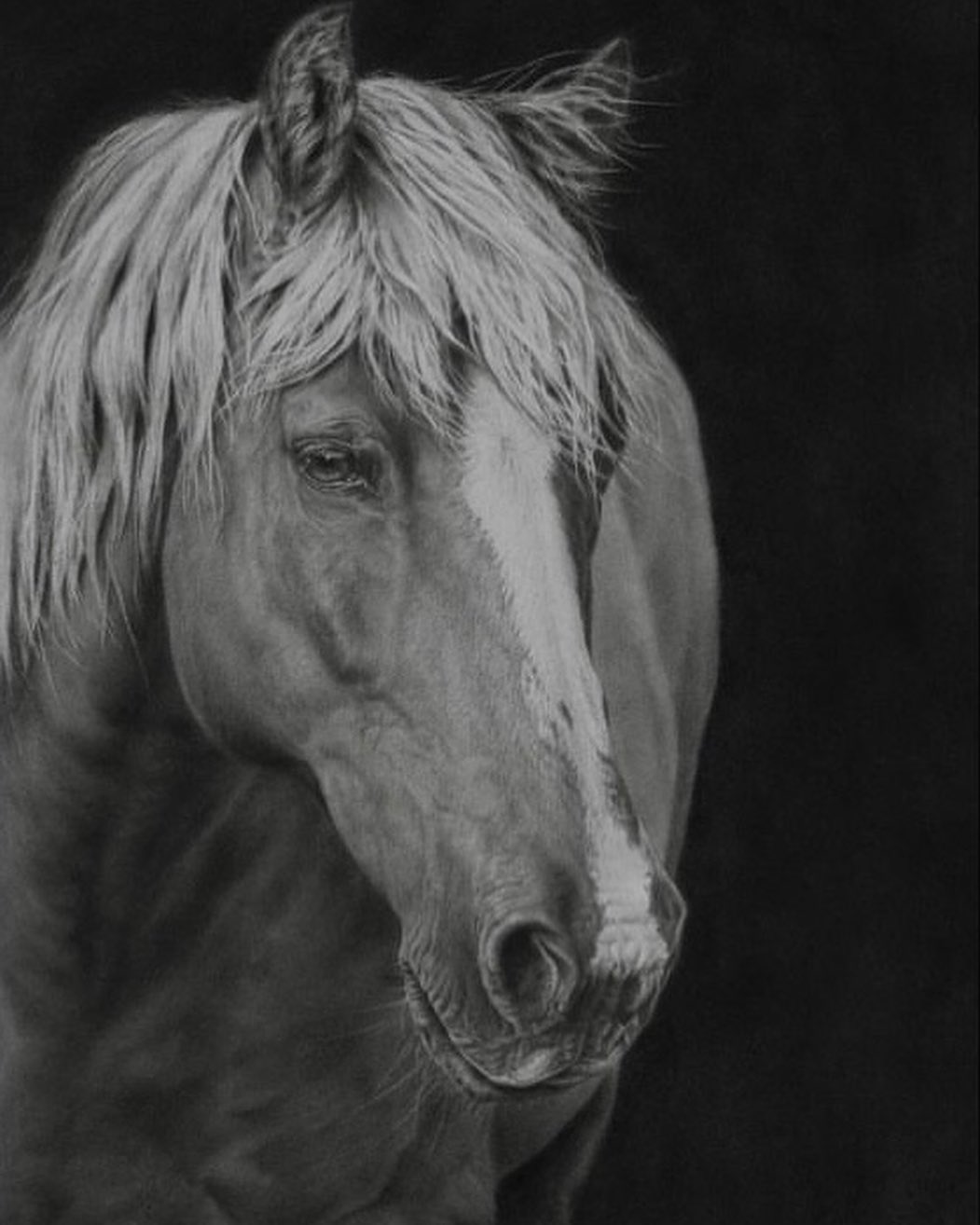 Crystal Orlando Wildlife Equine Artist